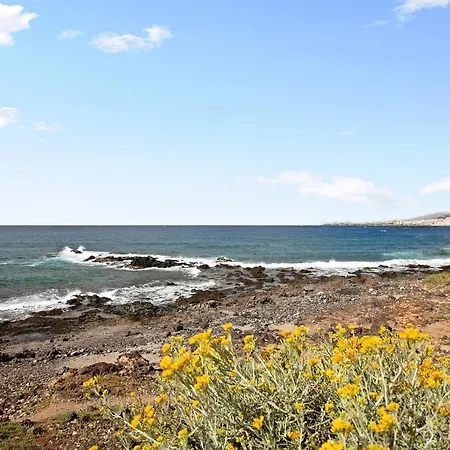 El Mocan - Mar * 滨海帕尔姆